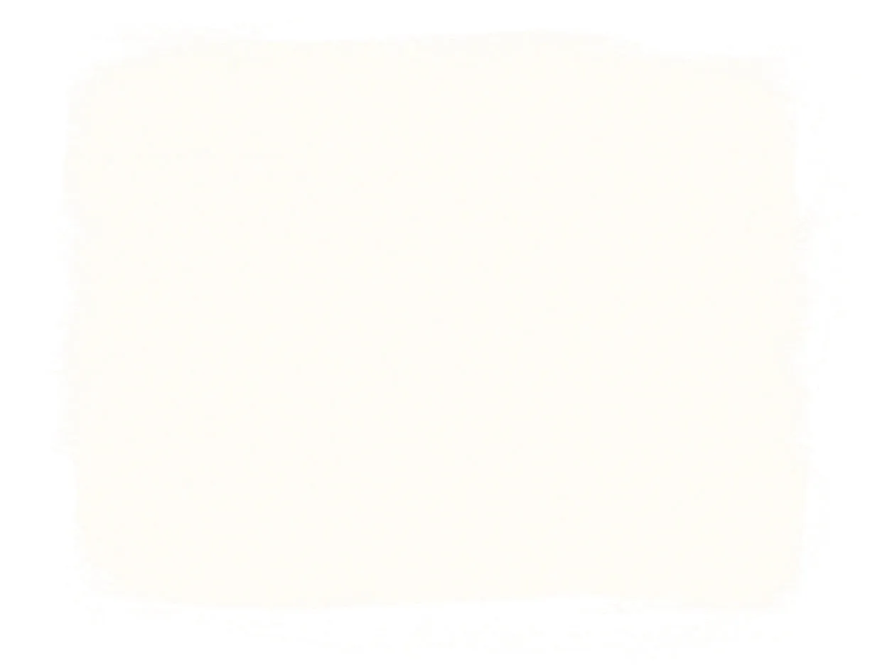 Annie Sloan Chalk Paint - Pure White (Sample Pot)