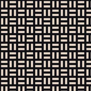 Striped Checks - Black/White